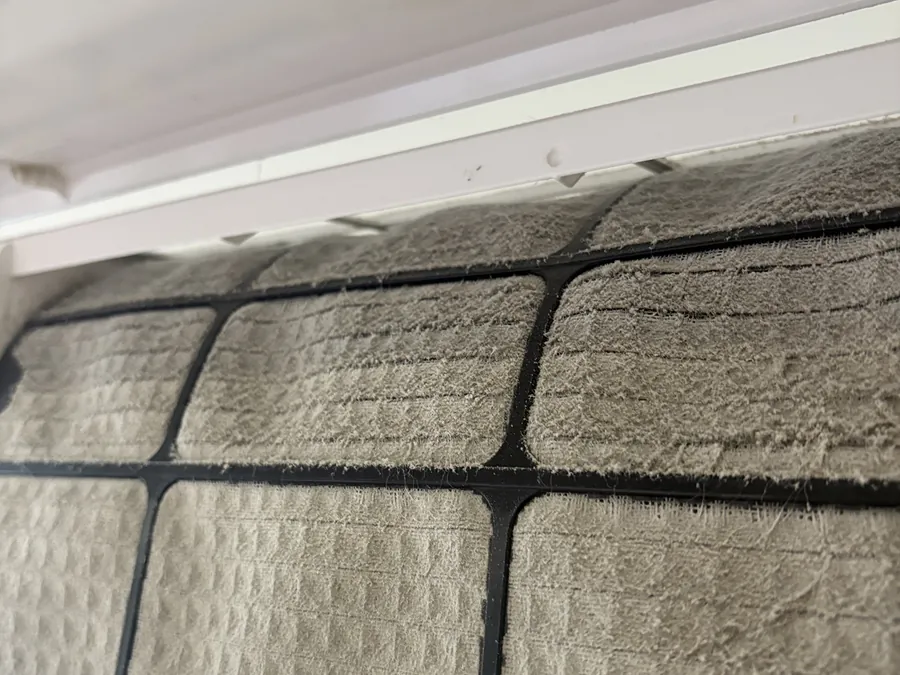 Gros plan sur le dépôt feutré qui recouvre entièrement le filtre avant rinçage