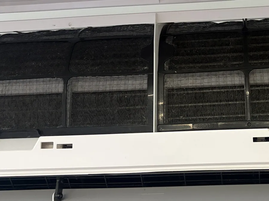 Les mêmes filtres après rinçage : le maillage noir est de nouveau visible et laisse passer la lumière